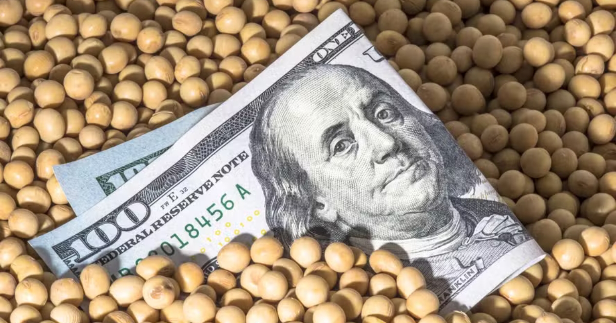 "Soja: Queda de Preços com Dólar Baixo e Safra Recorde no Brasil"