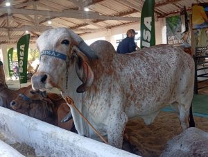 "Faec Propõe Inovações Legislativas para Impulsionar o Agro no Ceará: Menos Burocracia e Mais Investimento"