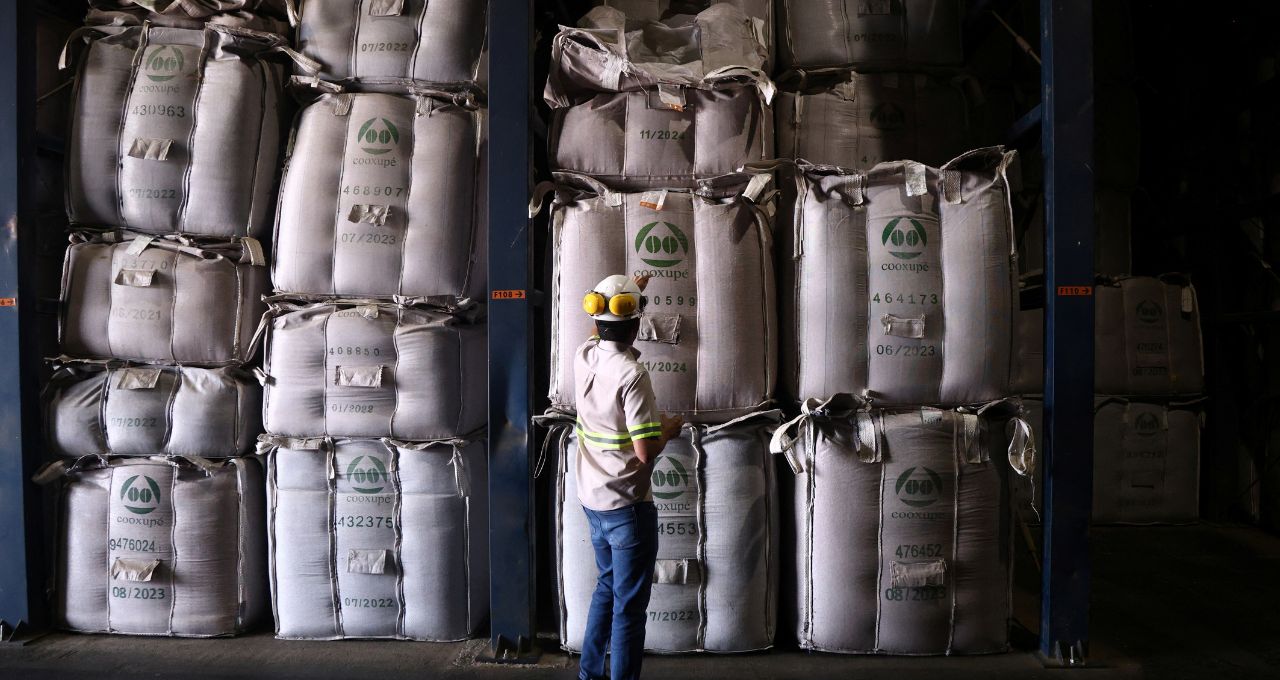 "Mercado de Café em 2026: Vendas da Nova Safra Desaceleram com Diferença de Preços e Mercado Invertido"