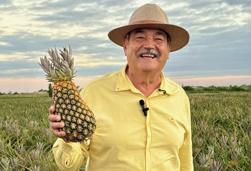 "Marataízes Impulsiona a Agricultura Familiar: Abacaxi Ganha Destaque com Novo Programa de Fomento ao Setor"