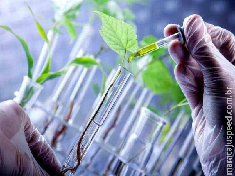 "Expansão dos Bioinsumos Revoluciona a Agricultura Brasileira em 2025"