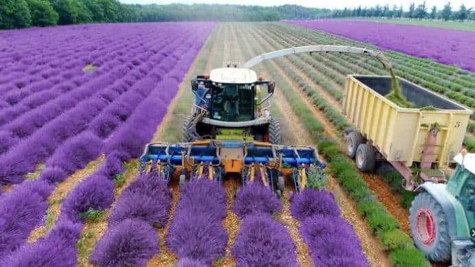 Solo em risco na UE: impermeabilização, erosão e queda de carbono ameaçam água e biodiversidade; Portugal destaca-se na agricultura biológica