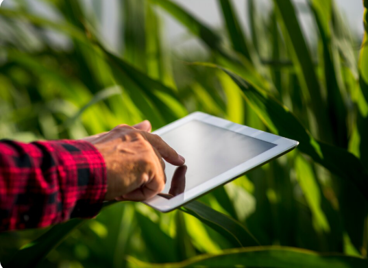 CCT aprova Política Nacional de Transformação Digital na Agricultura: inovação, rastreabilidade e CSC Digital Rural