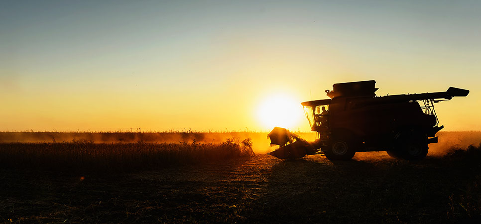 Colheita no Brasil: 12 estados monitorados atingem 96% da área cultivada; Maranhão 68% e Rio Grande do Sul 78% frente ao ano anterior