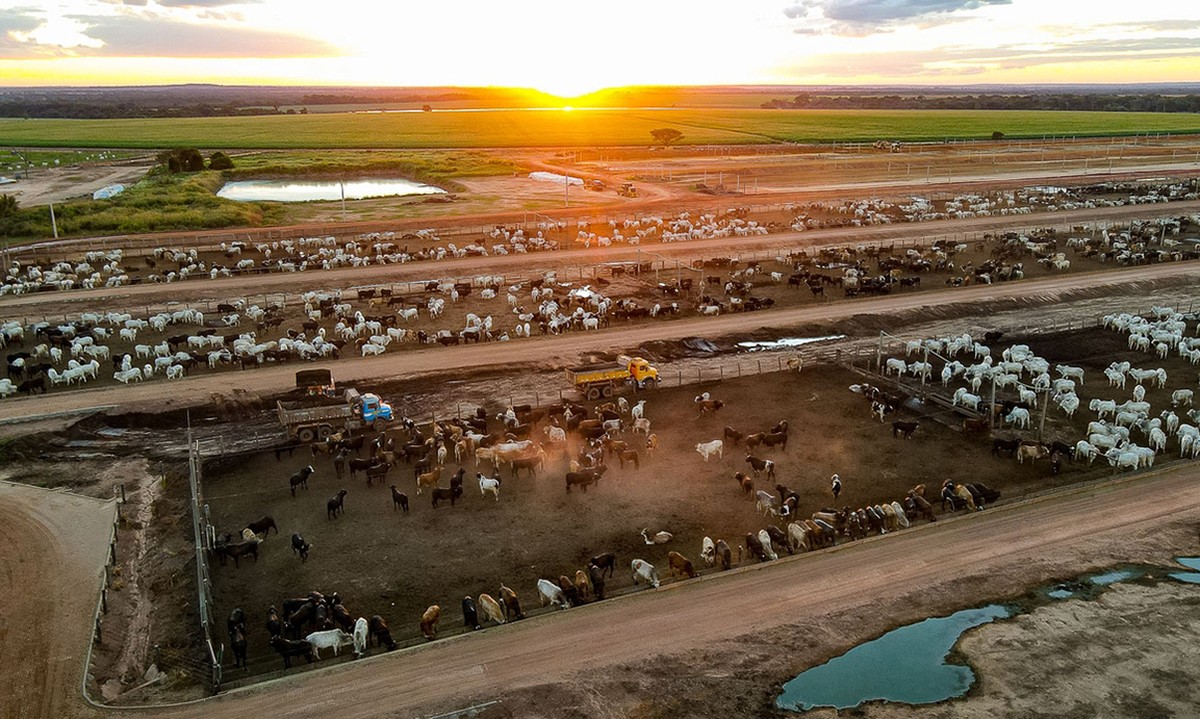 JBJ Agropecuária adquire Fazenda Conforto em Nova Crixás (GO) com Júnior Friboi para expandir um dos maiores confinamentos de gado do país