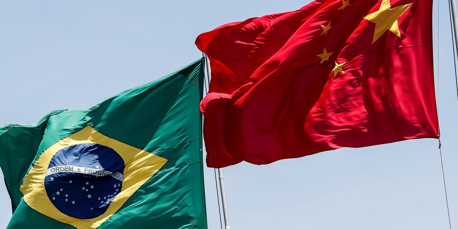 "Exportação de Vergalho Bovine Impulsiona Frigoríficos Brasileiros: Rentabilidade e Tradição no Mercado Asiático em 2026"