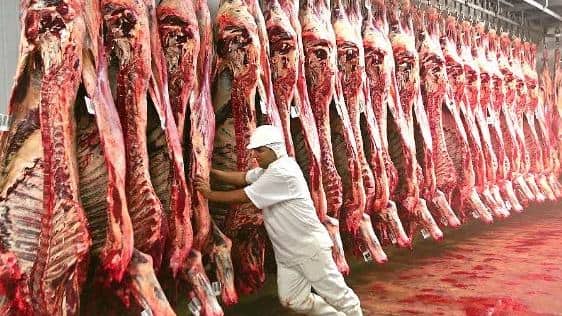 Brasil e União Europeia avançam nas regras de antimicrobianos na produção animal; envio de protocolos sanitários depende de avaliação técnica e impact