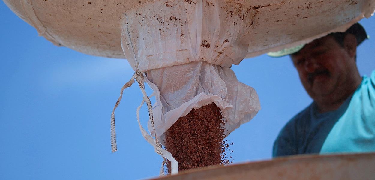 "Inovações Verdes: Brasil Lidera Patentes em Agricultura Sustentável e Biológica"