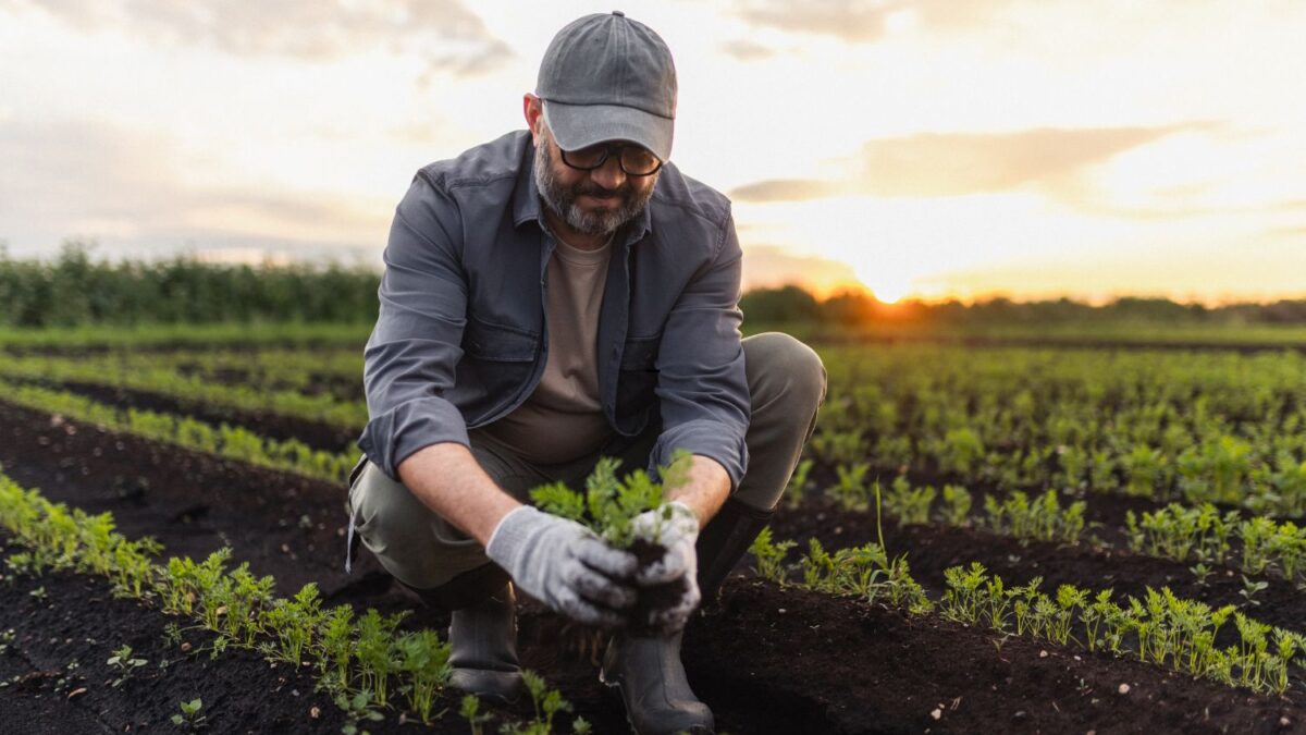 "Rabobank e Bayer Injetam R$ 1 Bi em Crédito para Fortalecer o Agronegócio Brasileiro com Soluções Inovadoras"