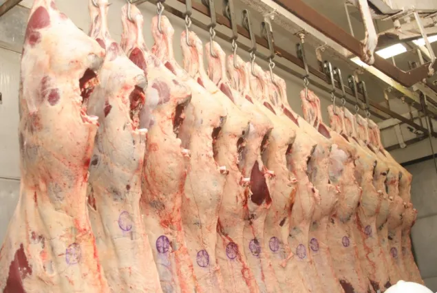 Exportações de carne bovina perdem fôlego em agosto com cota para a China no limite