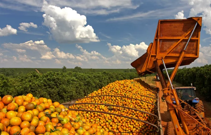 Citrosuco apresenta soluções climáticas desenvolvidas a partir da agricultura durante a São Paulo Climate Week
