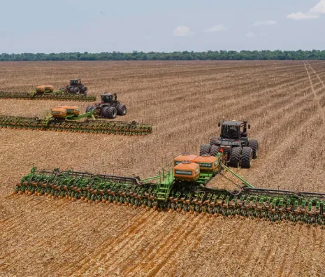 Área de soja está estimada em 49,3 milhões de hectares na safra 2026/27