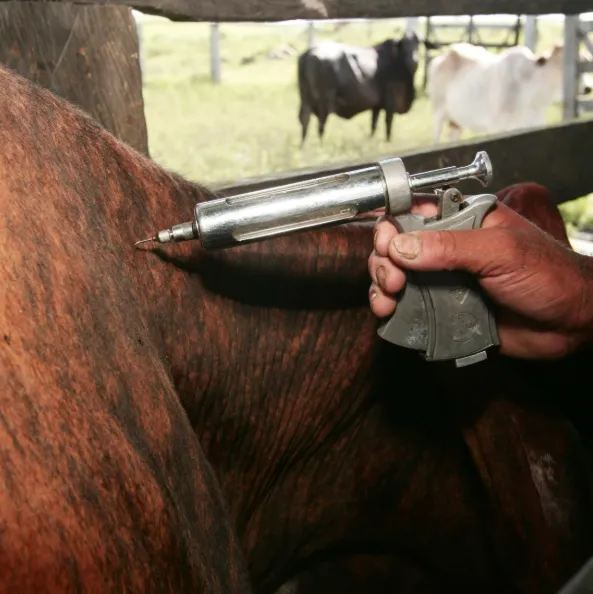 Barra do Guarita inicia distribuição de vacinas contra a raiva bovina