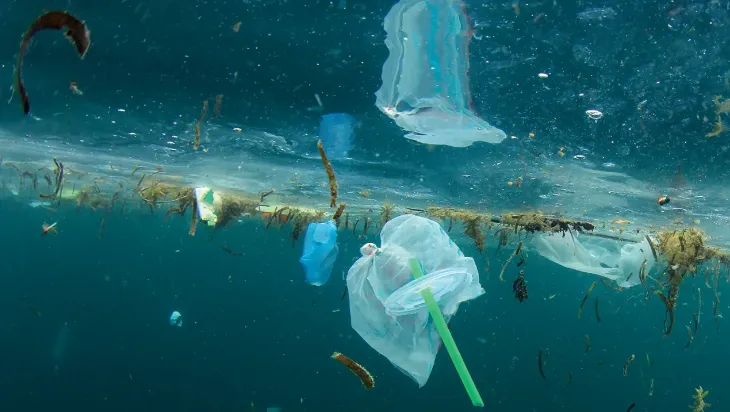 Instituto de Pesca destaca pesquisas sobre microplásticos nos ambientes aquáticos