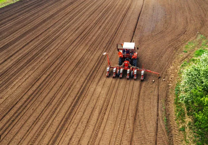 Plantio de milho verão 2026/27 chega a 11% da área no Brasil