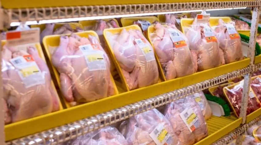 União Europeia inicia embargo a produtos de origem animal do Brasil