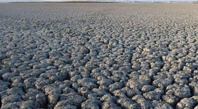   El Niño 2026: como a agricultura tropical brasileira se adapta ao fenômeno climático
