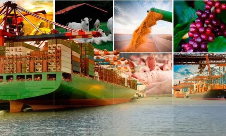 EUDR pode afetar até US$ 17,5 bi ao ano nas exportações da agroindústria brasileira