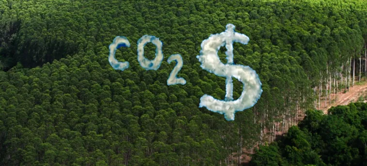 Agro brasileiro pode gerar até 314,3 milhões de créditos de carbono até 2035