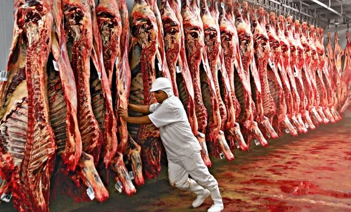 Conab estima 34,08 milhões de toneladas de carnes no Brasil em 2026