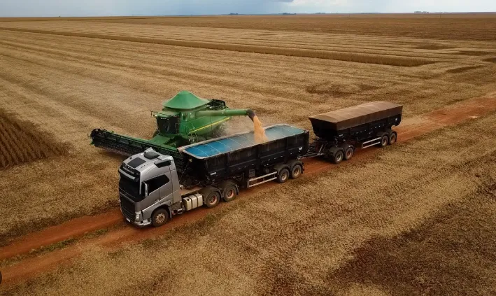 Campo brasileiro fatura US$ 15,1 bilhões no exterior em agosto de 2026