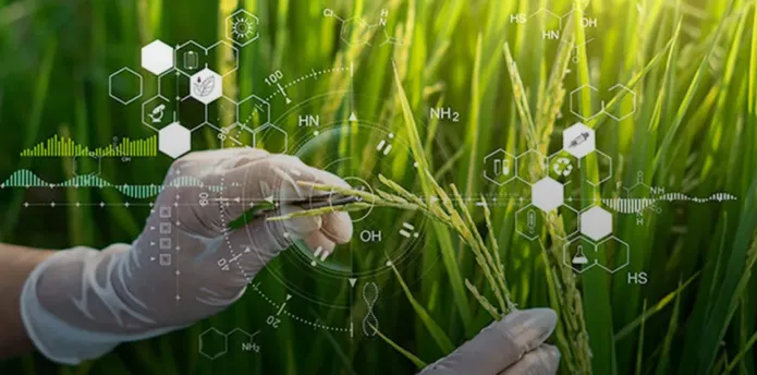 Yara amplia capacidade de YaraVita e YaraAmplix em 2026 e biológicos seguem em 5% das vendas