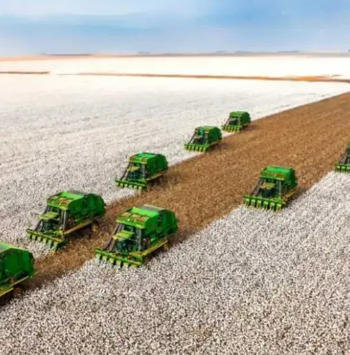 Citi estabelece novo preço-alvo de R$ 18 para as ações da SLC Agrícola