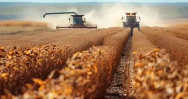 Setor Agrícola Brasileiro Bate Recorde Histórico em 1 Ano, diz IBGE