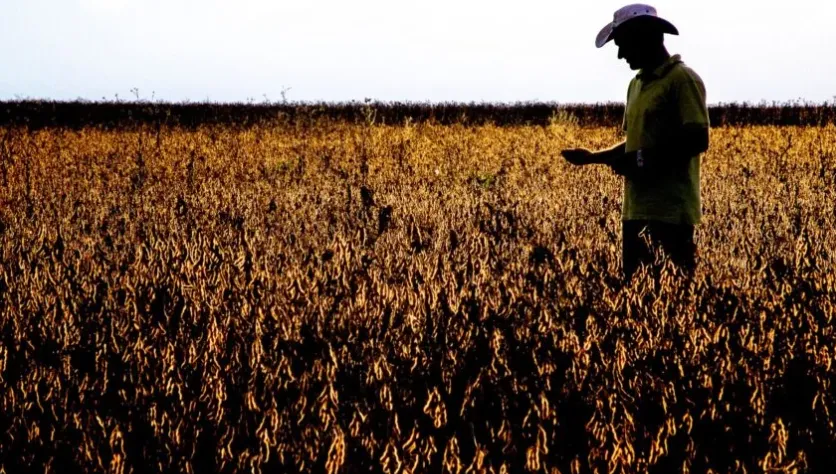Recuperação judicial no agro sobe 21,9% no 1º trimestre de 2026