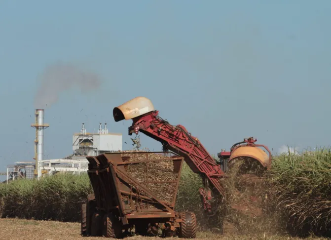 Safra de cana-de-açúcar em Minas Gerais deve atingir 82,54 milhões de toneladas em 2026/2027