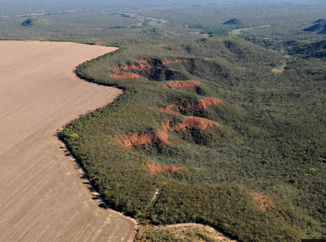 MapBiomas disponibiliza nova base de dados para acompanhar 40 anos de transformações territoriais no Acre