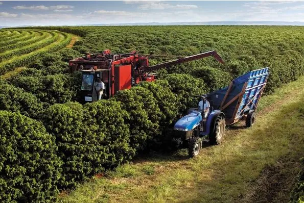 Desenvolvimento no café, tecnologias em pulverização e ações institucionais movimentam o agronegócio