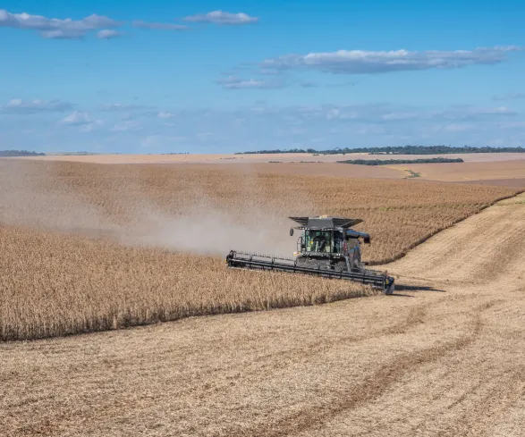 Agro brasileiro fecha agosto de 2026 com superávit setorial de US$ 13,49 bilhões