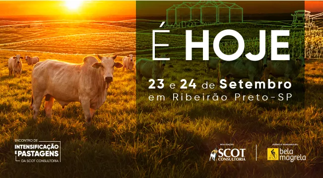 Ribeirão Preto recebe o Encontro de Intensificação e Pastagens 2026