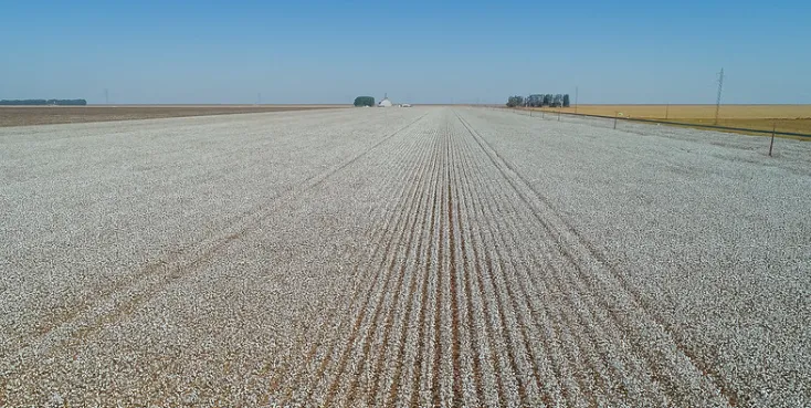 Sapezal desbanca Sorriso e assume a liderança nacional da produção agrícola municipal