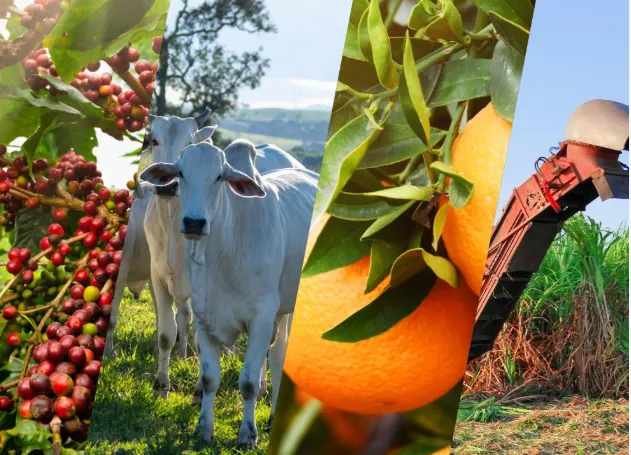 Secretário de Agricultura de SP palestra sobre perspectivas do agronegócio paulista na ACSP