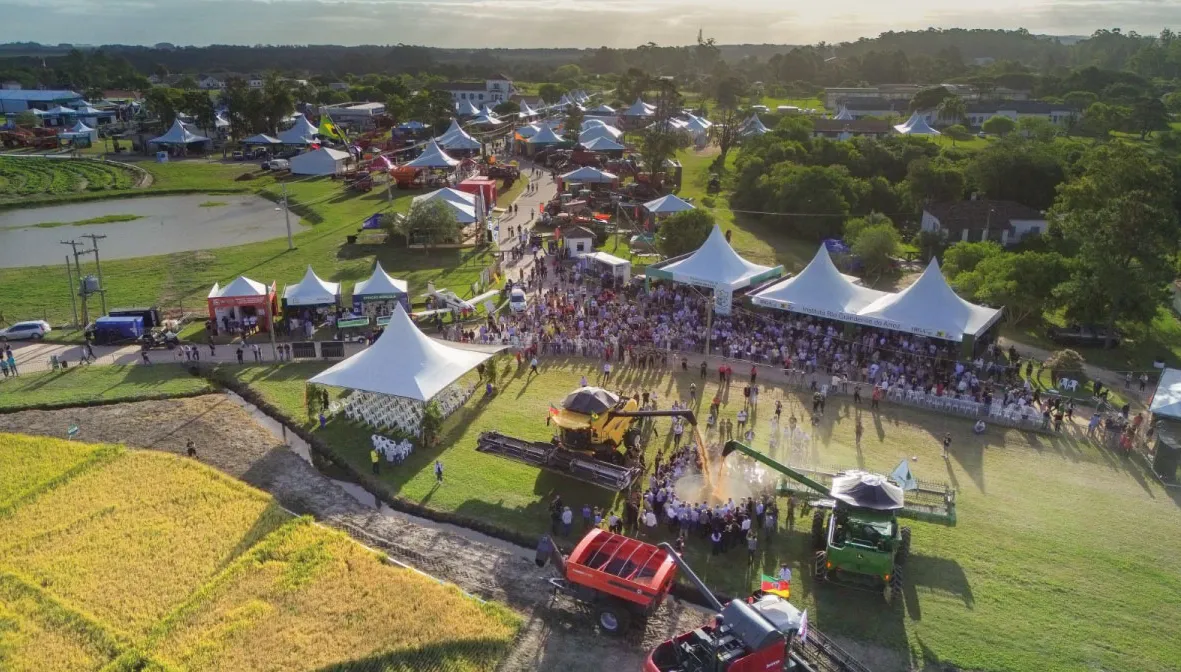 Vitrine tecnológica da 37ª Abertura Oficial da Colheita do Arroz destaca diversificação em terras baixas