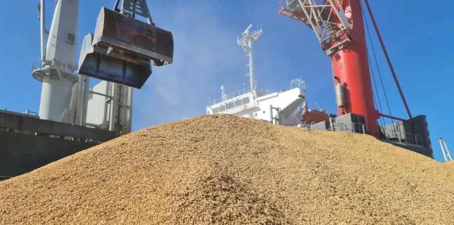 Demanda externa e necessidade das indústrias impulsionam preços do arroz no Rio Grande do Sul