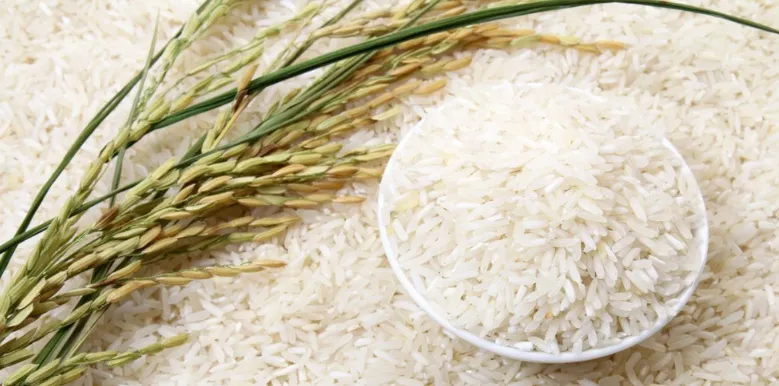 Preço do arroz se recupera no mercado físico e analistas mantêm visão de compra para ações da Camil