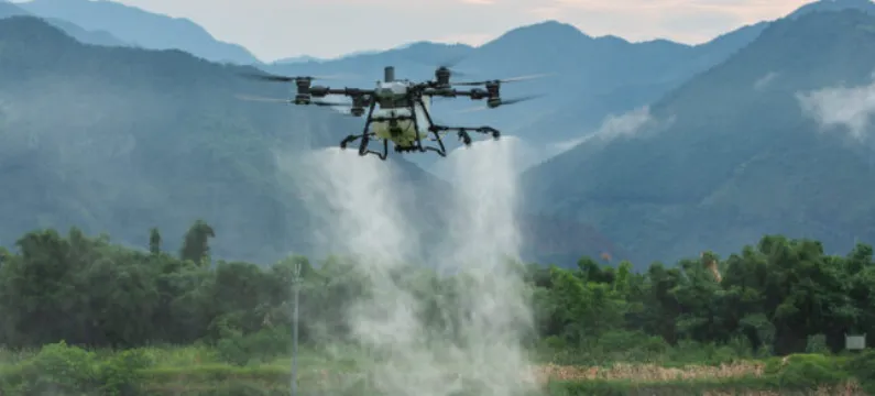 Custo de pulverização por drones em pastagens é estimado em R$ 120 por hectare em Feira de Santana