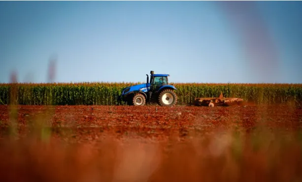 Brasil conquista quatro novos mercados internacionais para produtos agropecuários