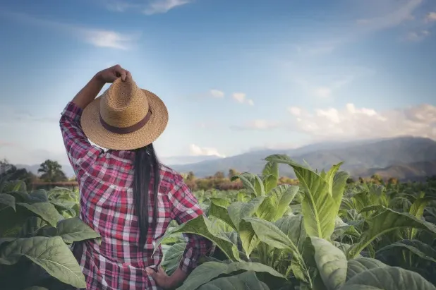 Mulheres já comandam 40% das decisões no agronegócio brasileiro e apresentam menor índice de infrações ambientais