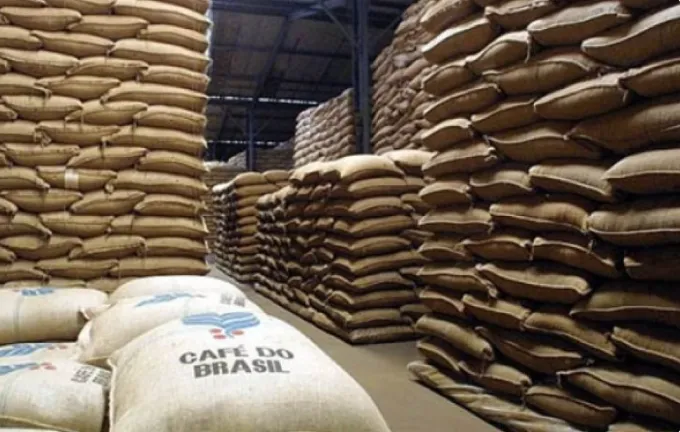 Produção de café no Brasil é estimada em 67,6 milhões de sacas pela Conab em 2026