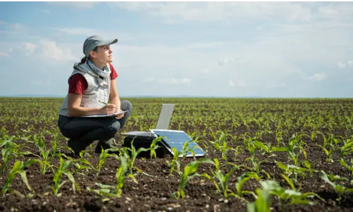 Intenção de investimento em IA por CEOs do agronegócio atinge 78% e supera média nacional