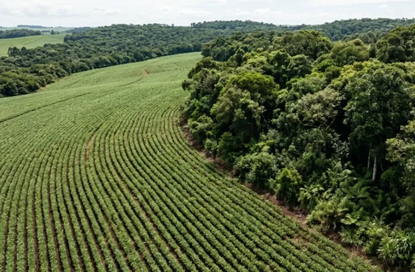 Exigências globais impulsionam novas ferramentas de rastreabilidade socioambiental no Brasil