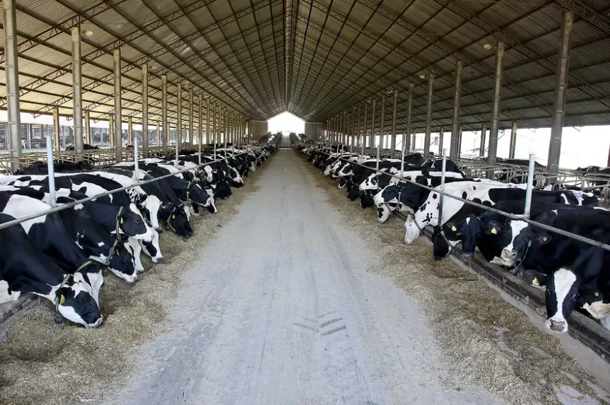 Pesquisa da Embrapa avalia ecoeficiência e emissões de gases na produção de leite