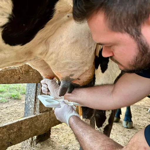 Embrapa promove debate sobre a atividade leiteira em Rondônia