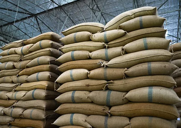 Lucro da Camil atinge R$ 41,3 milhões no 2º trimestre fiscal de 2026 em meio à pressão do arroz