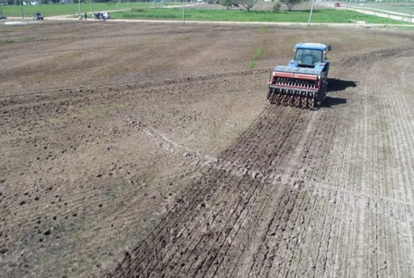 Plantio de arroz no Rio Grande do Sul atinge quase 33% da área prevista para a safra 2026/2027