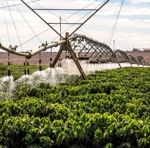 Tecnologia capixaba da Smartirriga reduz 36% o consumo de água na irrigação de café